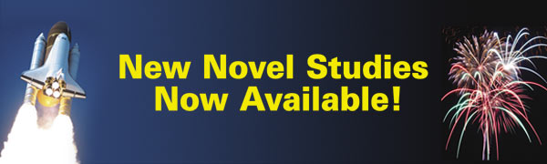 New Novel Studies