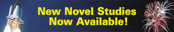 New Novel Studies